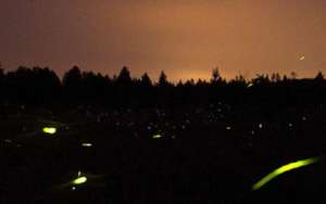 世界10大最美的夜景赏玩地：巴黎的午夜时光